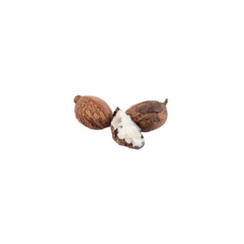 Butyrospermum Parkii (Shea) Butter