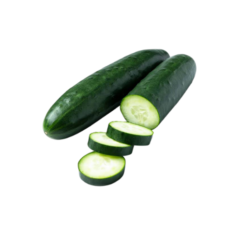 Cucumis Sativus (Cucumber)
