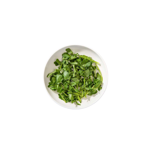 Nasturtium Officinale (Watercress)