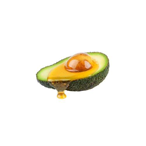 Persea Gratissima (Avocado) Oil